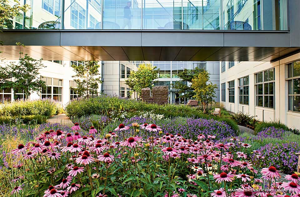 Commercial property landscape maintenance by New Dawn Landscaping