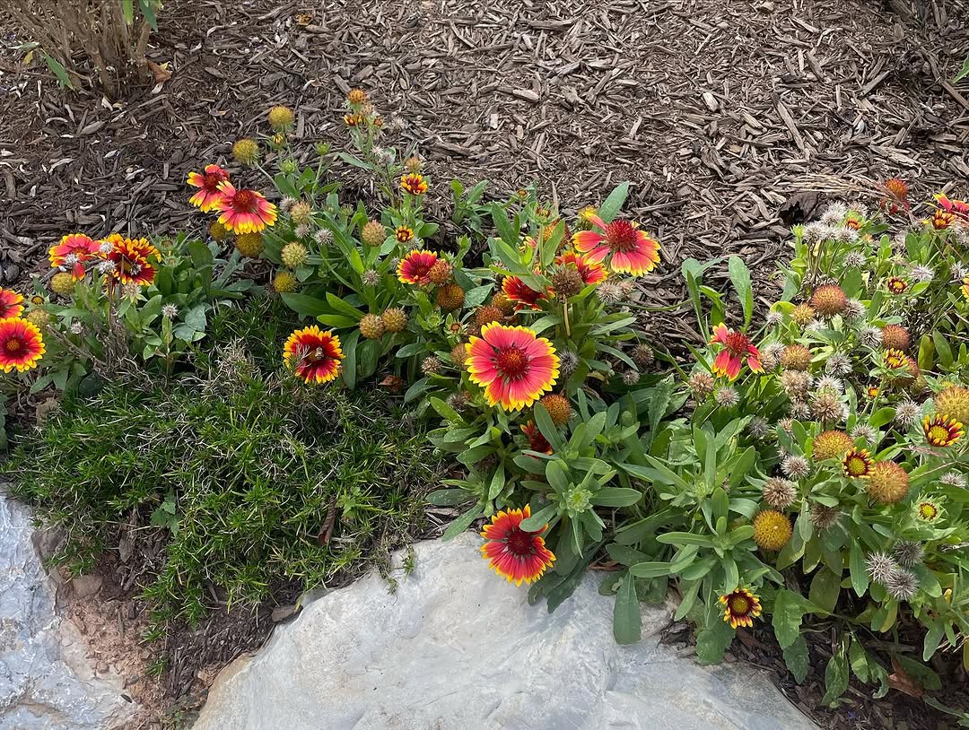 Landscaping and hardscape project in Mercer County, NJ by New Dawn Landscaping.